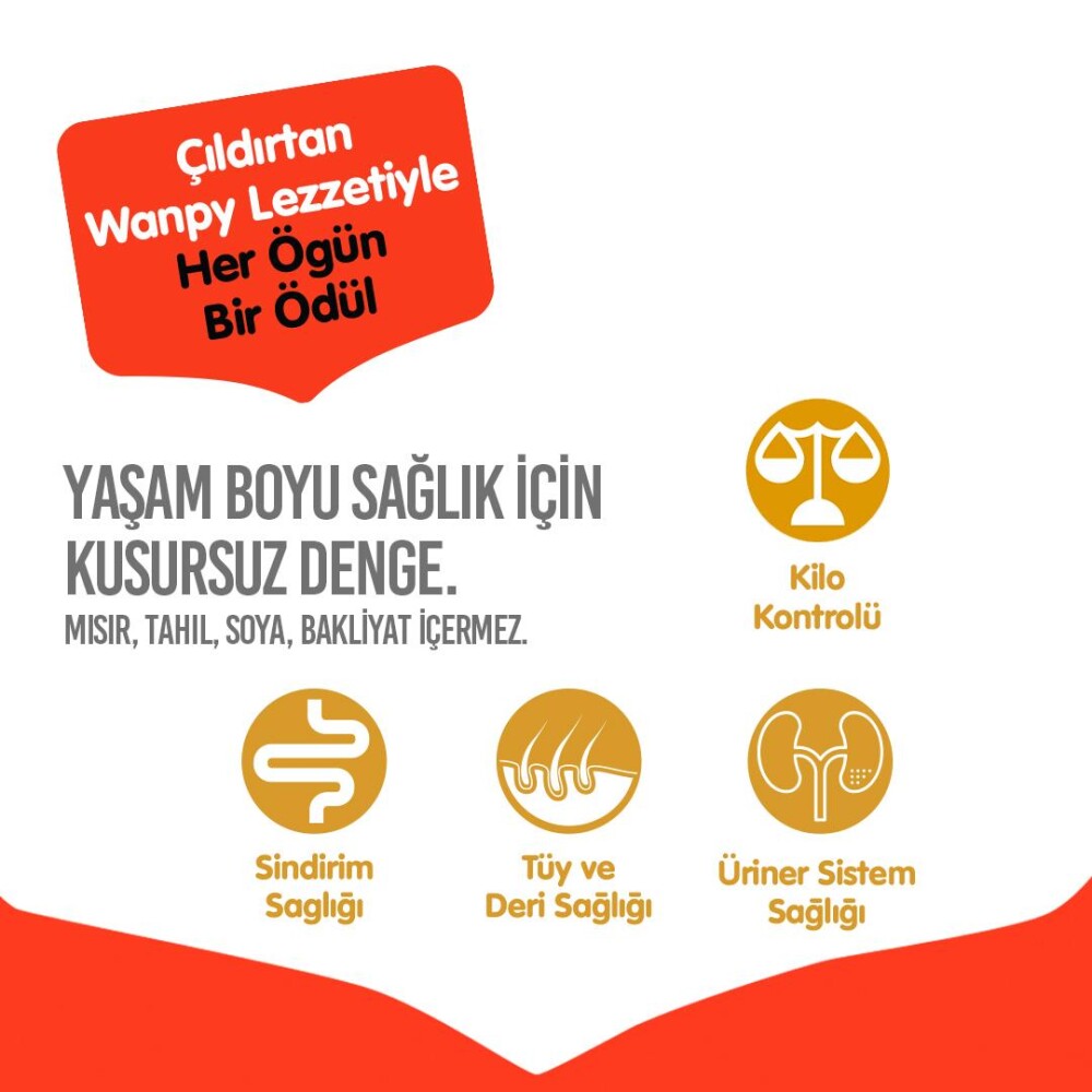 Wanpy Kısırlaştırılmış Somon Ve Ton Balıklı Tahılsız Yetişkin Kedi Maması 8 KG  | SRC: Barcode: 6927749825289