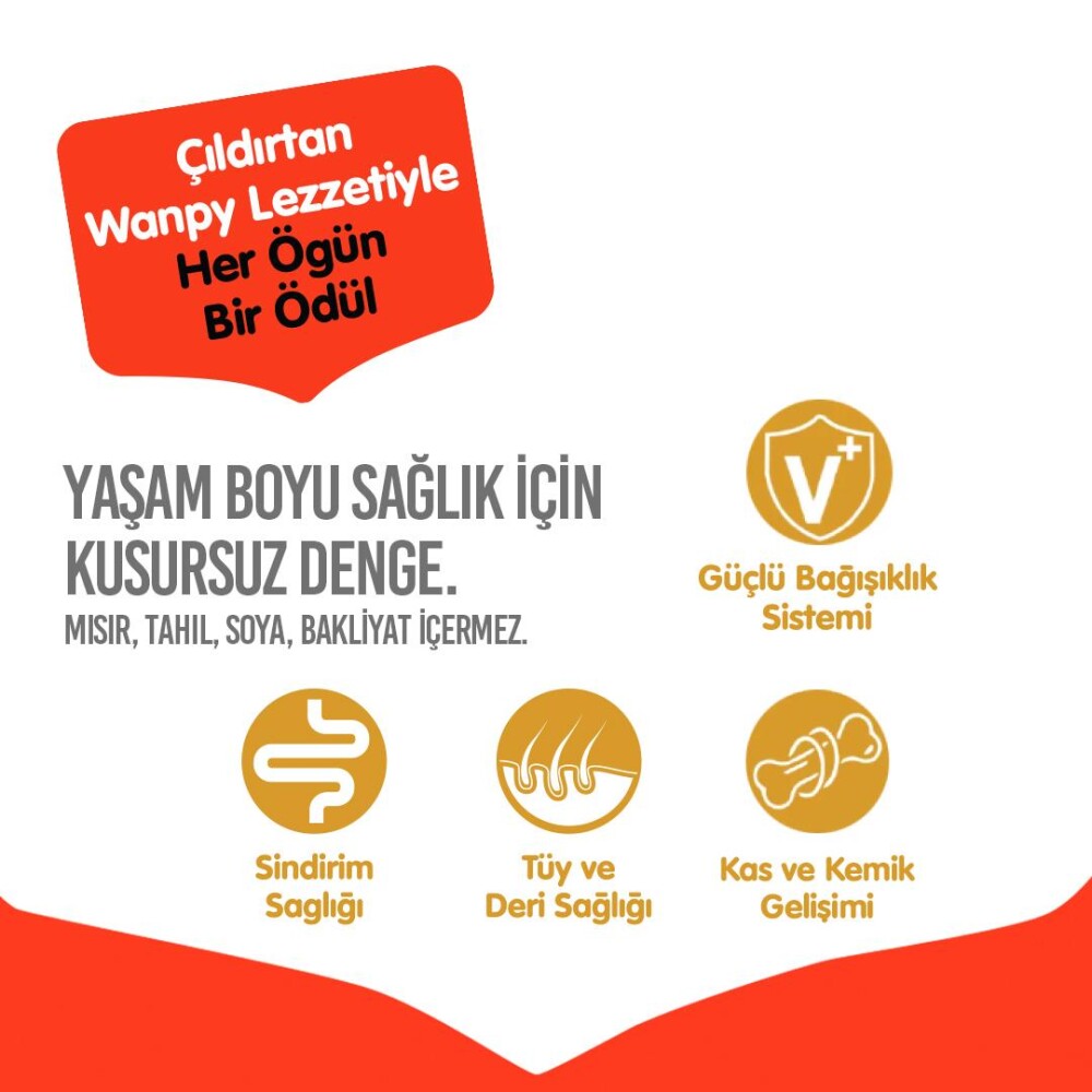 Wanpy Ördekli Tahılsız Yetişkin Köpek Maması 12 KG  | SRC: Barcode: 6927749823148