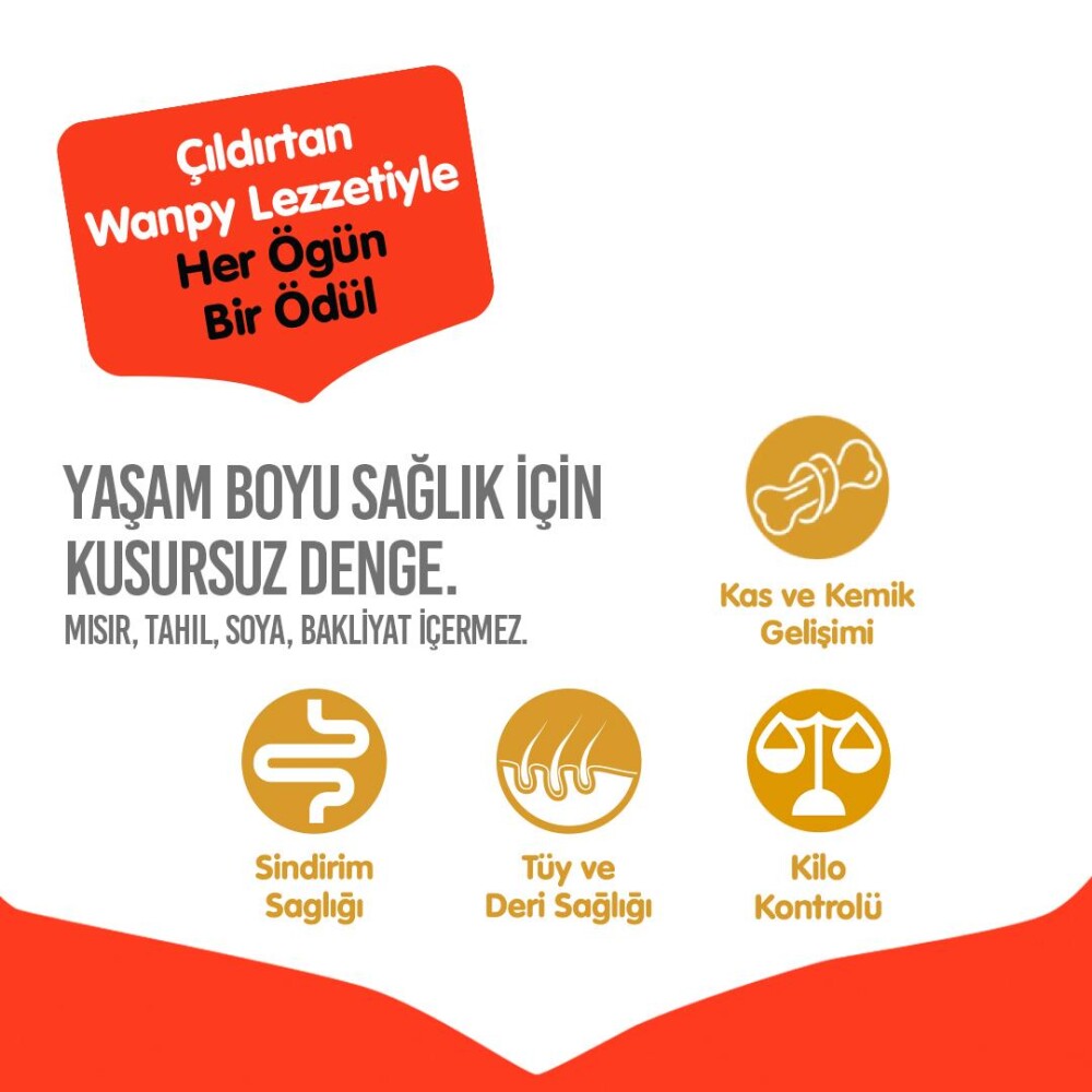 Wanpy Sığır Etli Tahılsız Yetişkin Köpek Maması 12 KG  | SRC: Barcode: 6927749823155