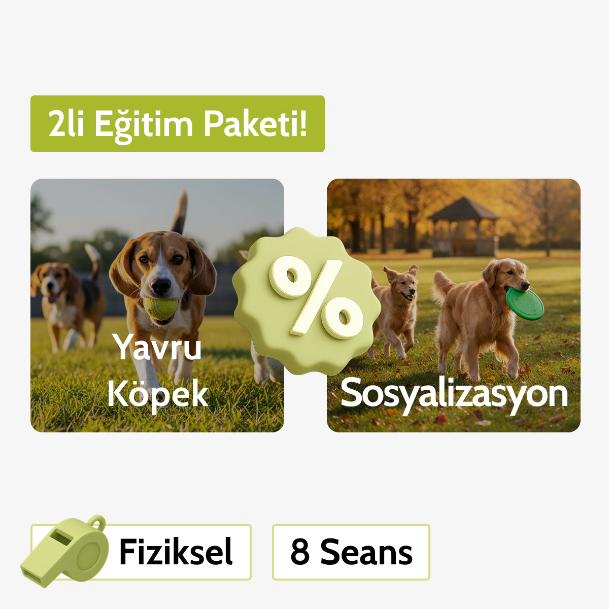 Yavru Köpek + Sosyalizasyon Eğitim Paketi